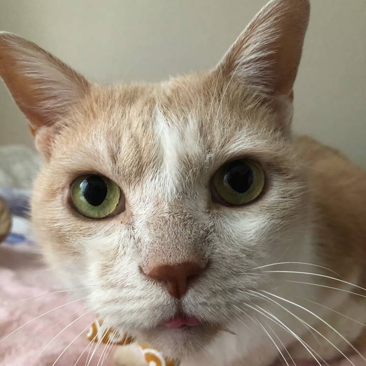 9e4a1def 3174 4603 bcc6 2aec4fa0883f 1602801547358