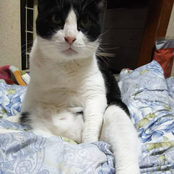 9e4a1ee0 3227 4ef4 b082 3e1f13fff304 1552469168621