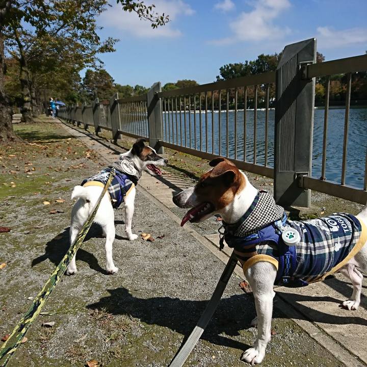 9e4a6b0e ea16 4afa bf44 e1414467e2ae 1538793941737