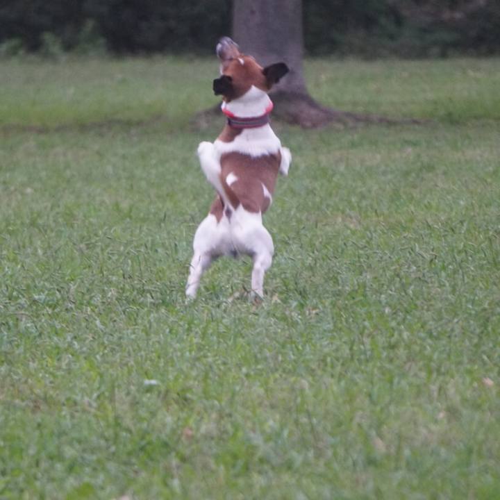 9e4a8425 1088 4e8a b449 c1e5fb9613f5 1572303668894