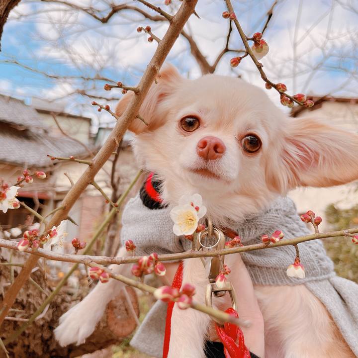 9e4ade05 9dcf 4e23 9189 6e71b9a14bc4 1674128071589