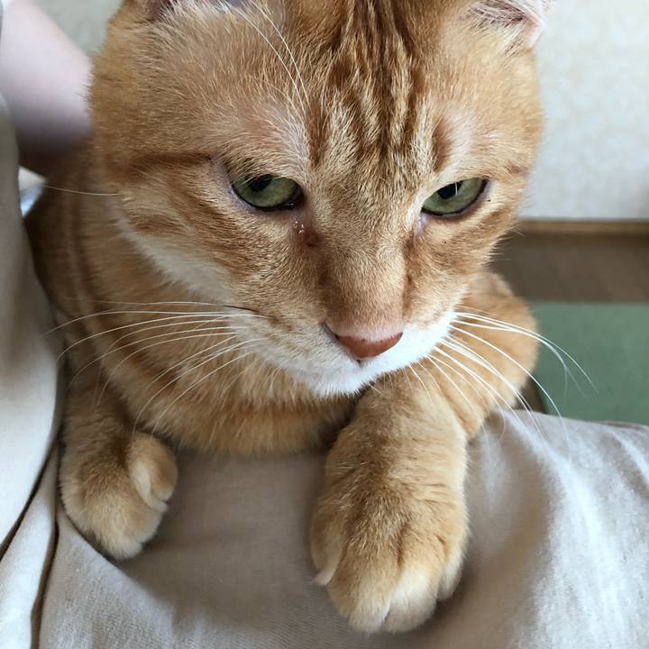 9e4adfa1 c51b 493d aa09 3ca39afd9814 1633987448381