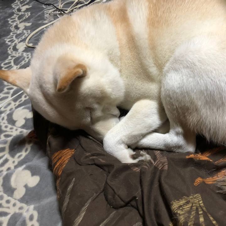 9e4b109a 0ee1 44b3 bb2d d70954d9cc30 1607689975637