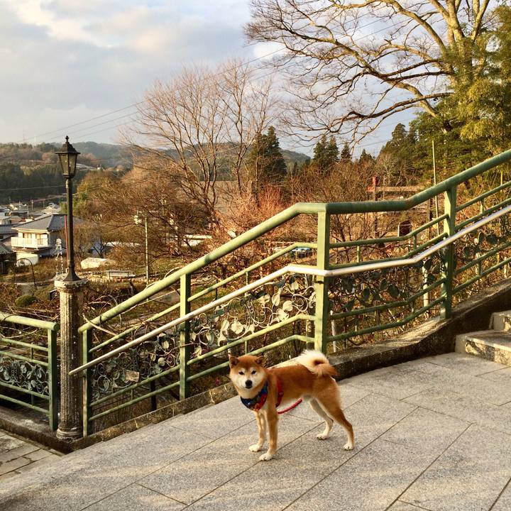 9e4b1be0 5276 45ec a62d 6a6e082f50a7 1512029812843