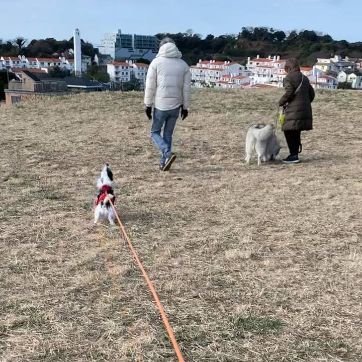 9e4b27eb 4e4e 4bd8 ba3c 59f5b7933d49 1676854216657