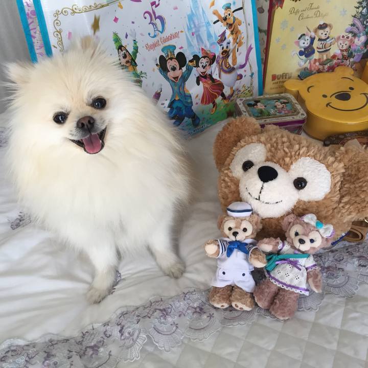 9e4b2a82 3351 4ba6 9507 04aaed7e4fd2 1545353248477