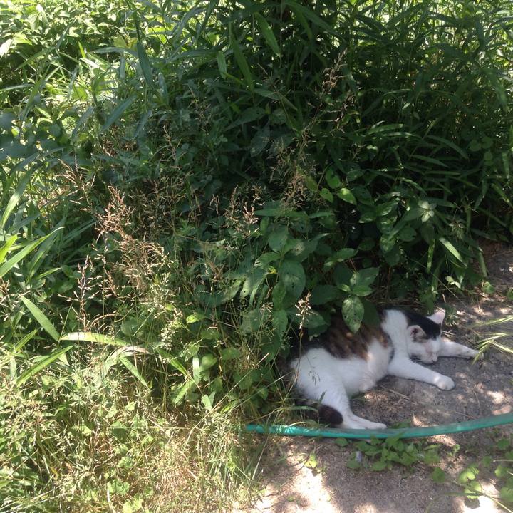 9e4b32c0 55cc 4a7e 9b0c 7b70d1b83454 1527997519139