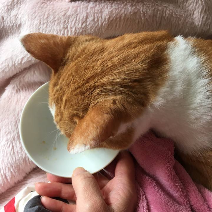 9e4b368f 5f85 40e6 bced 3f26bb0a6218 1572419907853