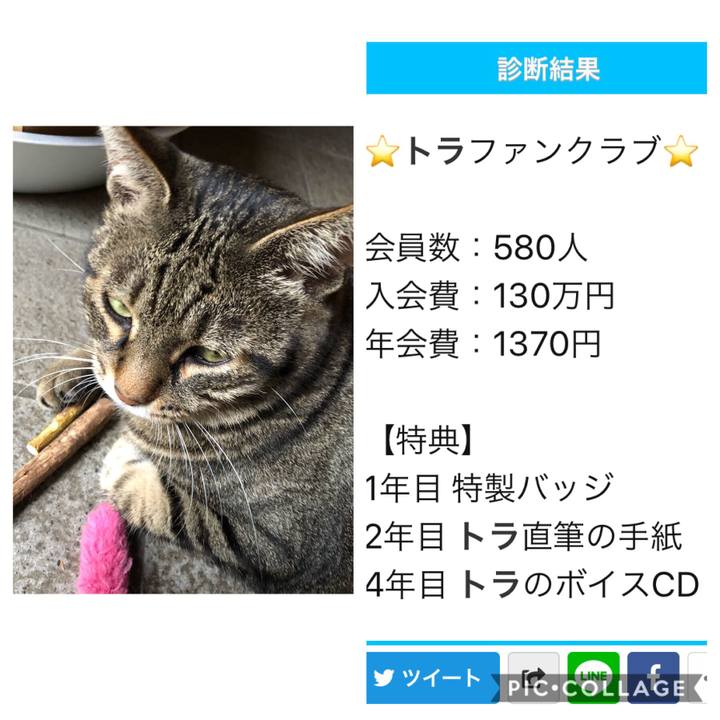 9e4b4462 b04c 457e 89bd 7bdb73eeccfa 1568547967178