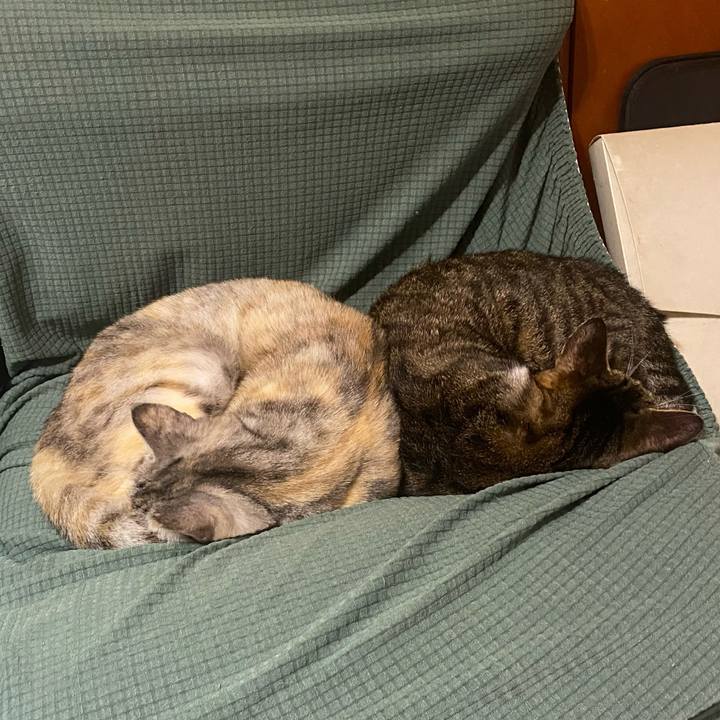 9e4b90dd 4244 44bb 904a e4813e0d12ae 1639426511229