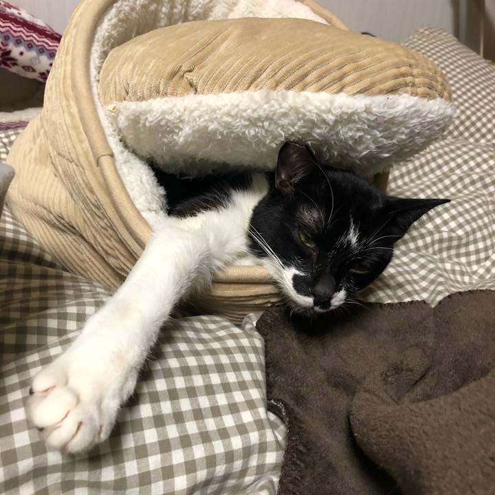 9e4b9d6e c697 4b30 bd93 145136616721 1579654631321