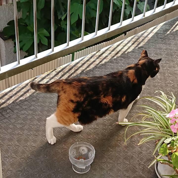 9e4ba311 3a7d 4a3a 8158 0cfb6de62ca7 1589152497895