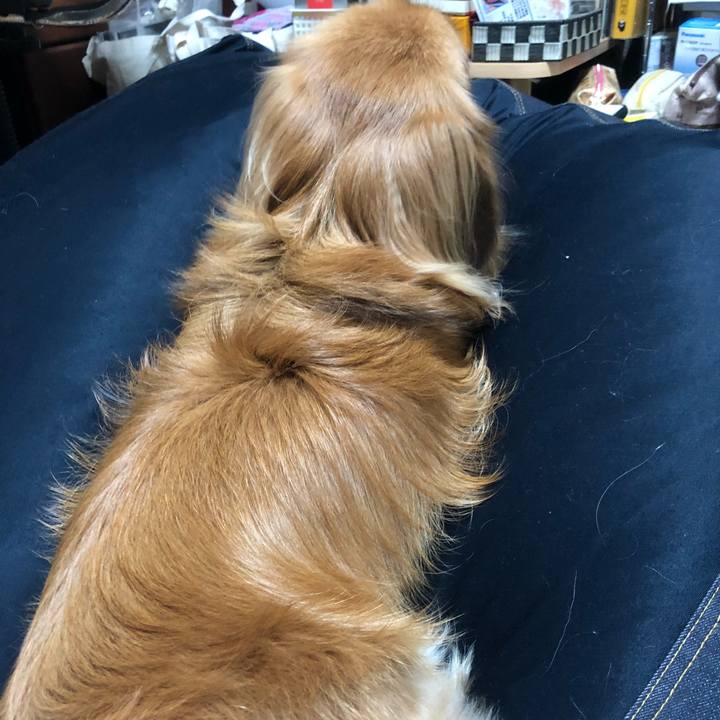 9e4c695f 96e5 4f05 abe3 a9e6fced5346 1535320989037