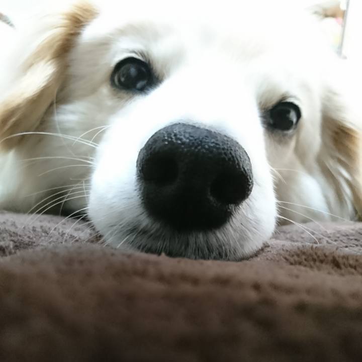 9e4ca415 7b64 4260 9502 c38e0e006e78 1524343328321