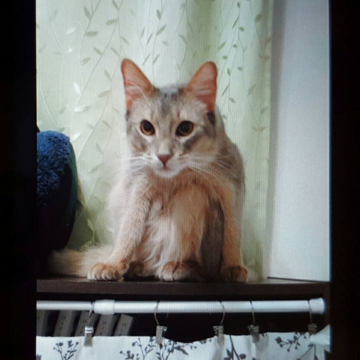 9e4caafa db24 4991 b6ba 155c8d9d5bec 1531397858555