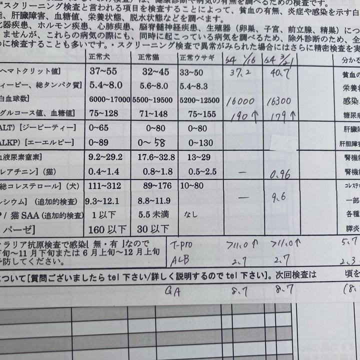 9e4cb346 58d2 4eaa 806f ec3388df8b21 1715138507482