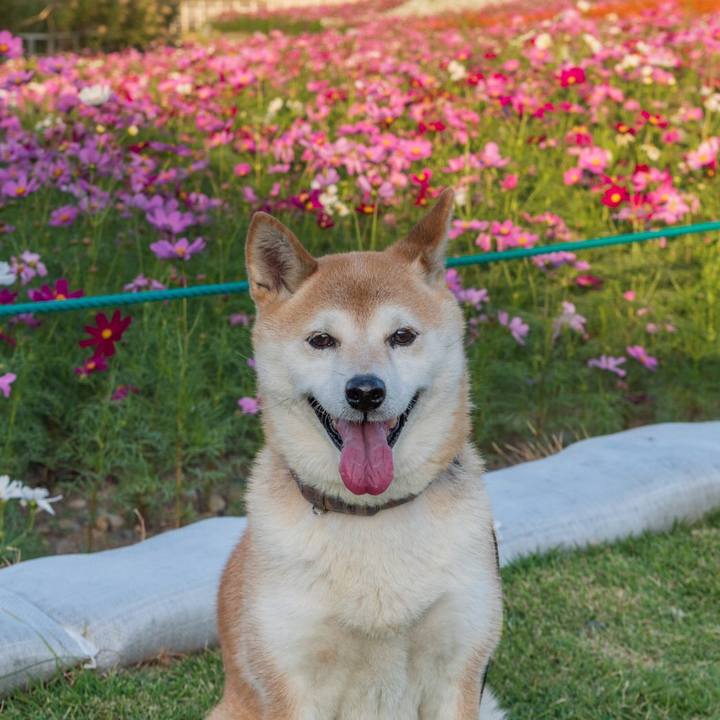 9e4cfd5f 4b3d 4847 bba9 036264657981 1573740080184