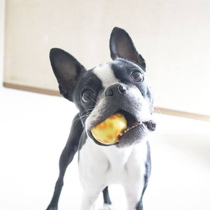 9e4d04e8 3849 49da aab2 192b7e1646fe 1523851408720