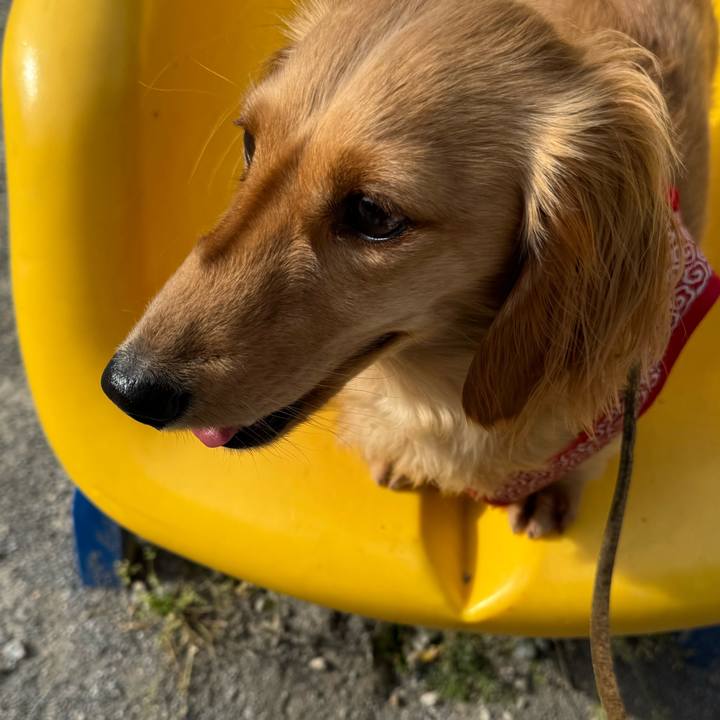 9e4d1891 3a13 4927 a12e d1bb2122cc28 1746084991782