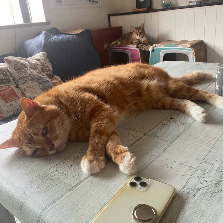 9e4d2533 6e0c 4897 a543 4b44bee42f5d 1659141317859