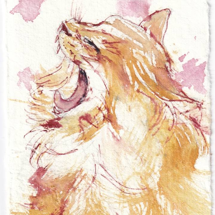 9e4d27f3 f84c 4146 9112 5f4915fd4885 1746799341159