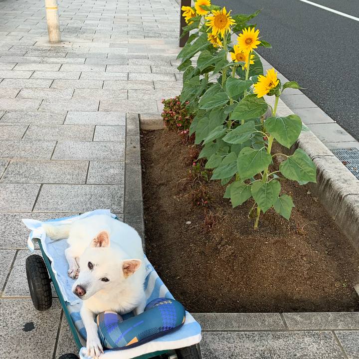 9e4d5cbc c6db 4e74 91de ae77c2f53534 1570658788859