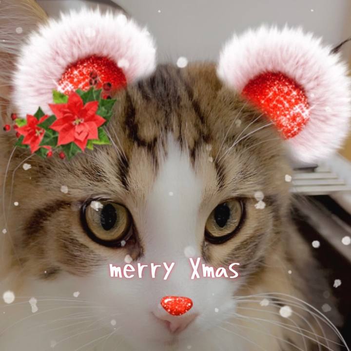 9e4d7351 25b0 428a b9f3 2b755e33e696 1640346306055