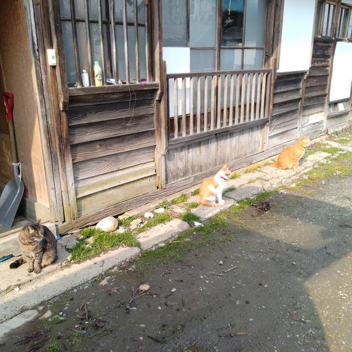 9e4d94b5 6a11 47aa 9daf 6a3bcccd9536 1742882783157