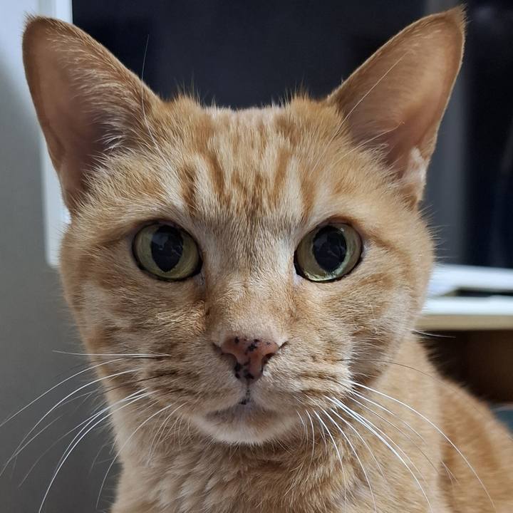 9e4da016 2f3a 49dc 9016 c7d640d1f049 1742598915064