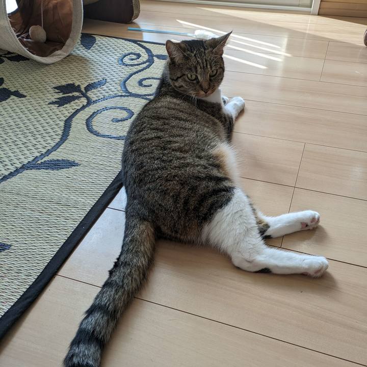 9e4dc531 6fc5 4025 a8d0 33f40e68f725 1693443342570