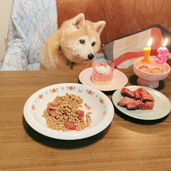 9e4e5101 6c24 4ddb ad82 063ef125aac0 1690855968162