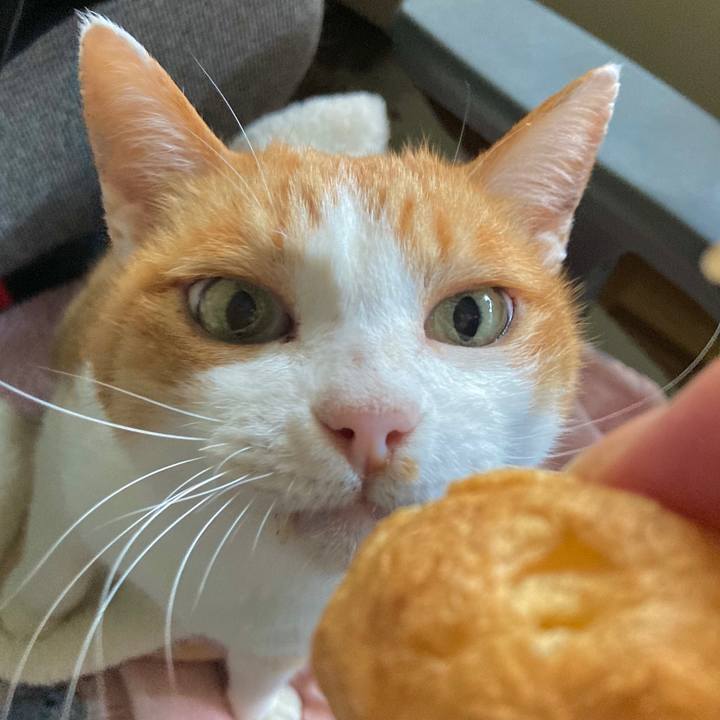 9e4eb42b 0b7e 40bc b7db f0c725928d86 1636271856200