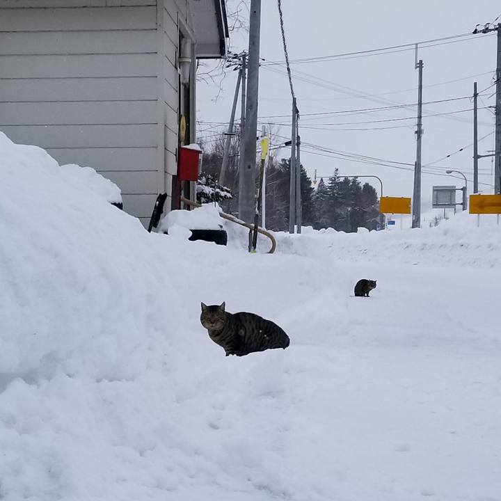 9e4ebea9 ed93 46d5 a21e 018fb9a41969 1642078739911