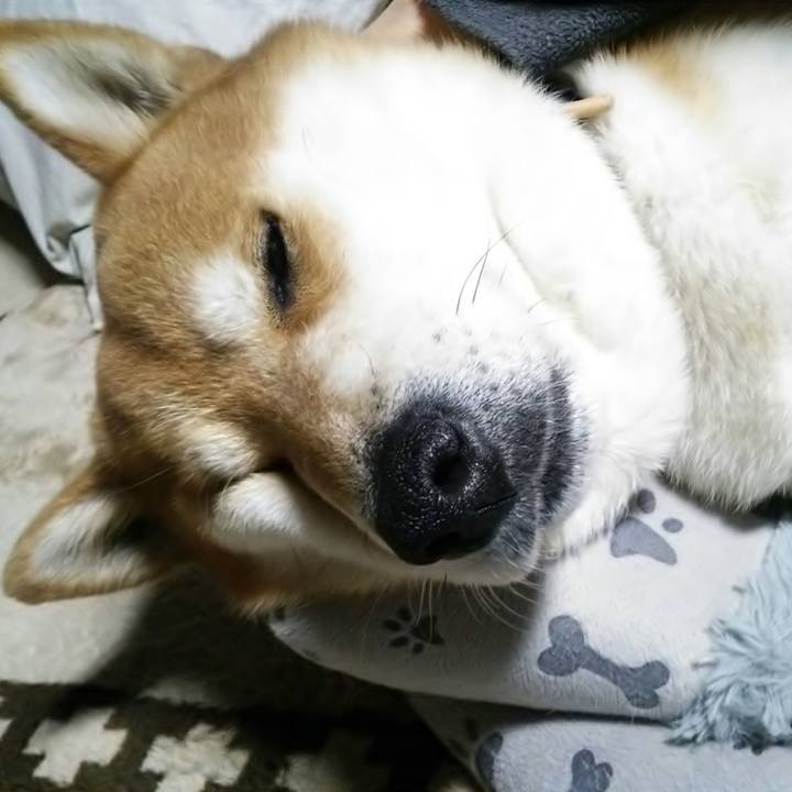 9e4ec1f8 02e9 4e00 8972 4080812ca2f1 1520434230224