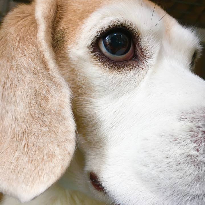 9e4ec70b 94a0 4cf9 885d e2b329470181 1578111164563