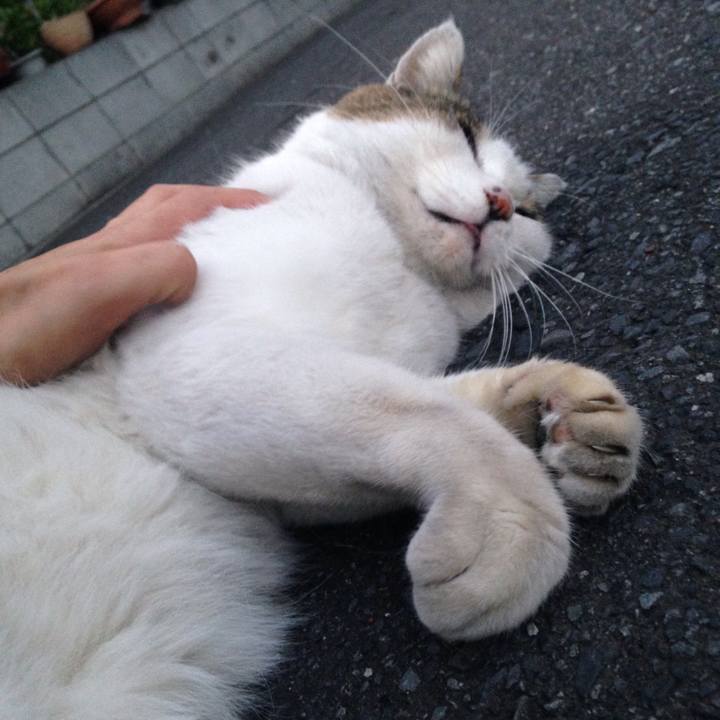 9e4ee3b3 dbd1 4f11 8242 94a0f41cc971 1509719777440