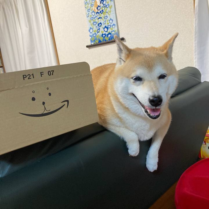 9e4f3196 f9d7 4c39 8356 77165bec50c9 1624288881013