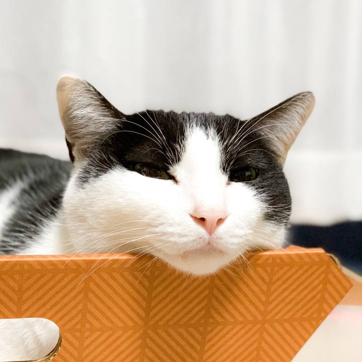 9e4f3ea3 0b42 41f1 9b8c 884f64e39867 1581380453601