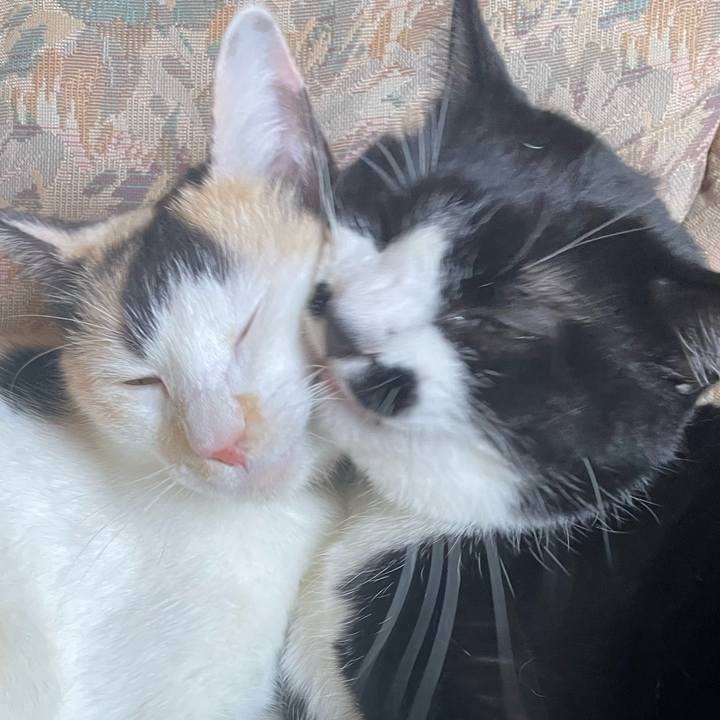 9e4f9253 ed3d 441d b0f2 b7639d36c209 1694671532459