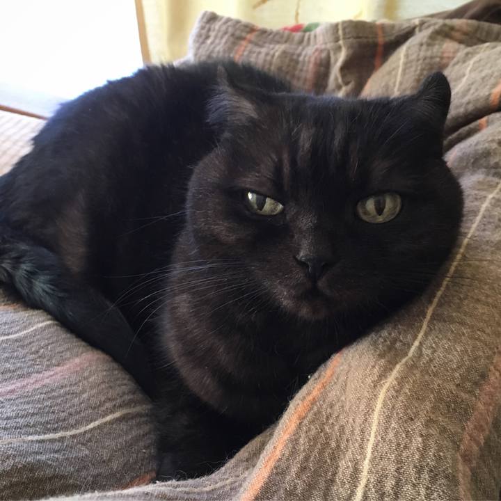 9e4fb0fc eb91 4fe3 a88a 708e1ef030c9 1541033098207