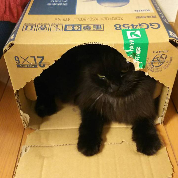 9e4fd18e 0adf 47cd 99e0 d9e8149da906 1535966592773