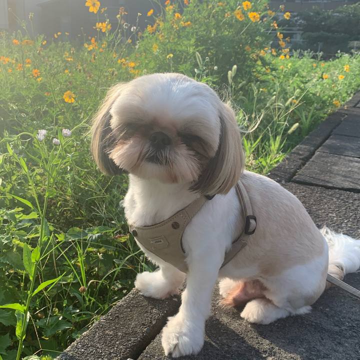 9e4ff061 4f77 4459 90cb 44a1710fe7ff 1627437101443