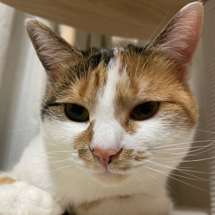 9e50107f f403 422b bc21 b9b71dd1d480 1611757929556