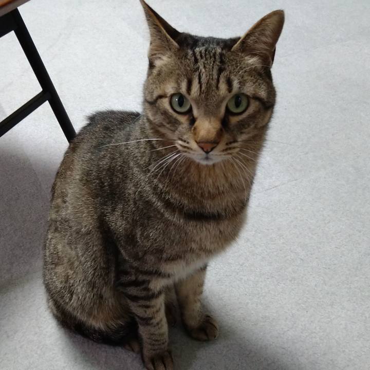 9e501870 6227 4d7e 876b 12bc7051be56 1616664328712