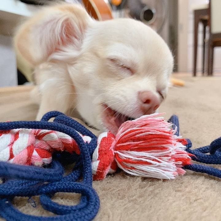 9e5028f2 80ca 4eeb 9256 71d87192a198 1596073346028