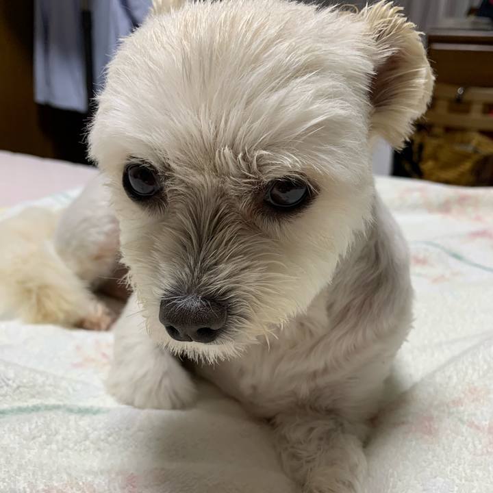 9e503054 09c2 4ead 9766 a73b12643e46 1625146375399