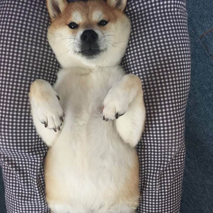 9e5044ad d8ba 4702 832b ce2953b4a06c 1562725820866