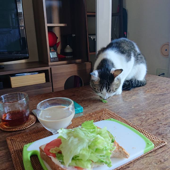 9e505372 546d 4996 a6b8 7d06c8264177 1632013928200