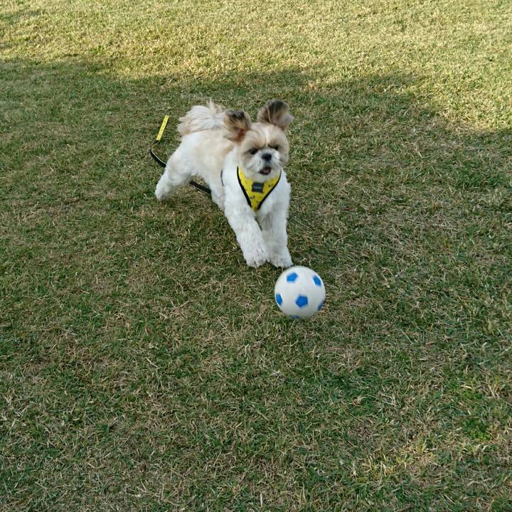 9e5074b6 91c6 49ae 91bf eb29a1c04c89 1543649159475