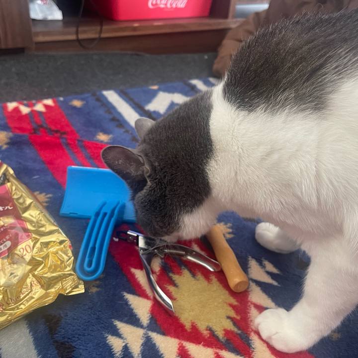 9e507717 216e 4a65 b1f0 49a2f881d284 1670725276878